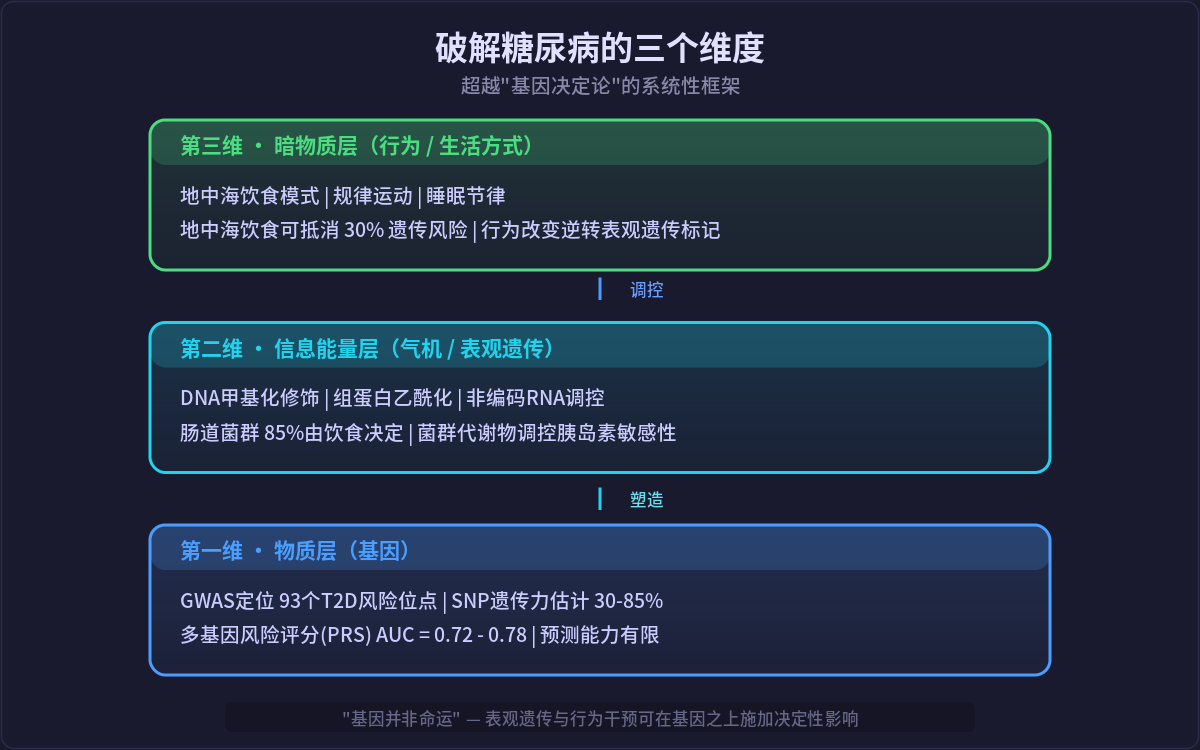 图3:超越"基因决定论"的系统性框架——物质层+信息能量层+暗物质层